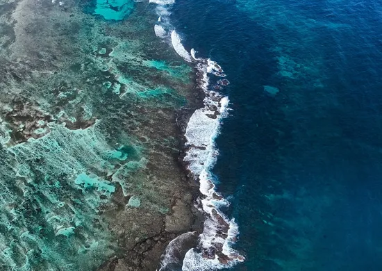 Imagem ilustrativa da imagem Dia mais quente da história dos oceanos é registrado com El Niño recorde