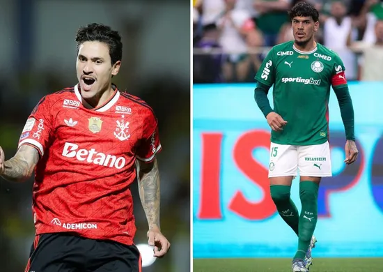 Imagem ilustrativa da imagem Flamengo e Palmeiras são favoritos ao título no Brasileirão; veja probabilidades