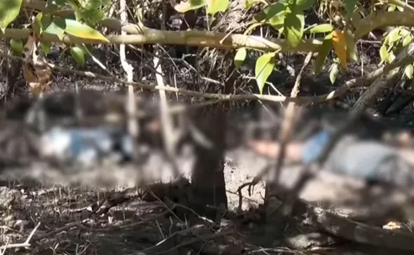Imagem ilustrativa da imagem Casal é encontrado morto em área de manguezal em Cariacica
