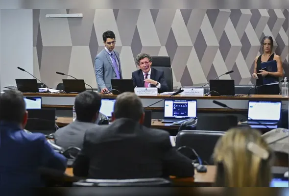 Imagem ilustrativa da imagem Comissão aprova MP da taxa das blusinhas: texto segue aos plenários