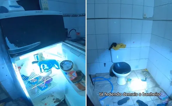 Imagem ilustrativa da imagem Crianças são resgatadas de casa usada para tráfico de drogas em Vila Velha