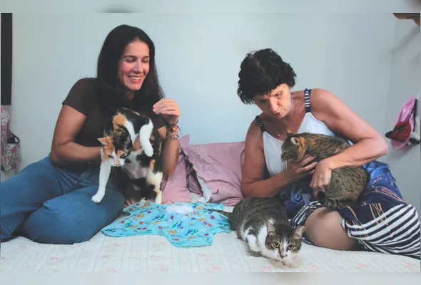 Imagem ilustrativa da imagem Hospital veterinário público no ES vai ter até dermatologista