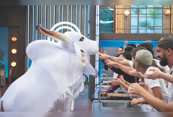 Imagem ilustrativa da imagem “MasterChef Brasil” em ritmo de Parintins