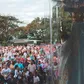 Dia 15 tem Romaria das Famílias