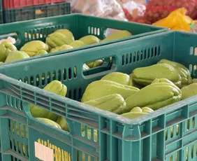 Imagem ilustrativa da imagem Cooperativas agropecuárias reúnem 50 mil capixabas e movimentam R$ 6,5 bi