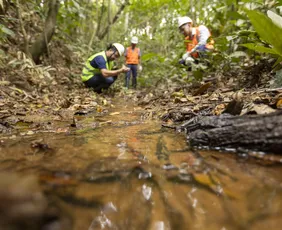 Imagem ilustrativa da imagem Restauração ambiental impulsiona desenvolvimento regional em MG e ES