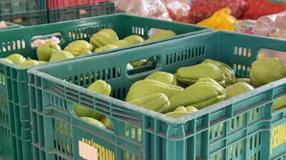 Imagem ilustrativa da imagem Cooperativas agropecuárias reúnem 50 mil capixabas e movimentam R$ 6,5 bi