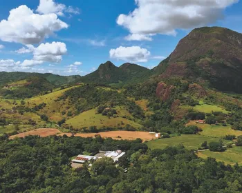 Imagem ilustrativa da imagem Encantos da fauna e da flora na Reserva Monte Moxuara