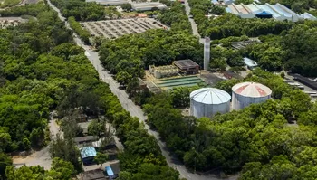 Imagem ilustrativa da imagem ArcelorMittal abre 150 vagas de estágio no Espírito Santo