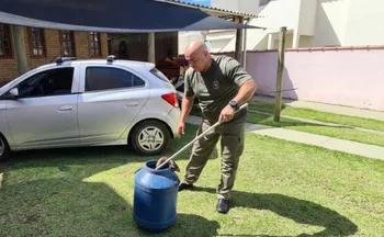 Imagem ilustrativa da imagem Jiboia é resgatada em residência na Serra