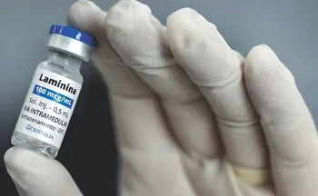 Imagem ilustrativa da imagem Laboratório anuncia novos estudos clínicos com polilaminina