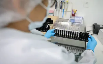 Imagem ilustrativa da imagem Malária: Anvisa autoriza teste em humanos de vacina 100% brasileira