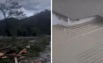 Imagem ilustrativa da imagem Temporal arranca telhado e derruba árvores em rodovias do ES