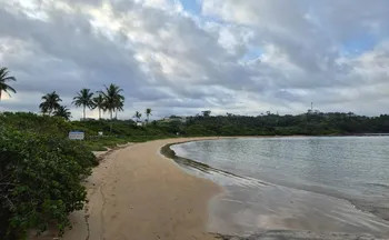 Imagem ilustrativa da imagem Três Praias em Guarapari podem ganhar banheiros e quiosques