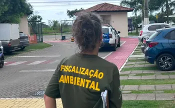 Imagem ilustrativa da imagem Tutor é preso após cadela ser resgatada em estado grave em apartamento na Serra