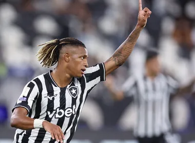 Imagem ilustrativa da imagem Botafogo quebra o jejum e vence o Grêmio em jogo atrasado do Brasileirão