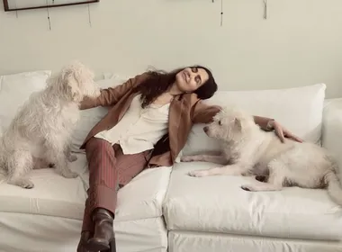 Imagem ilustrativa da imagem Caso Letícia Sabatella: mulher vai à Justiça pela guarda de cão