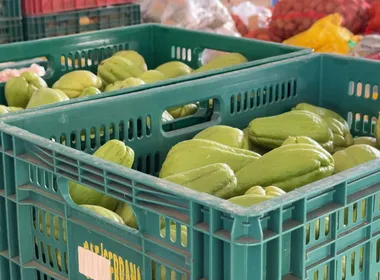 Imagem ilustrativa da imagem Cooperativas agropecuárias reúnem 50 mil capixabas e movimentam R$ 6,5 bi