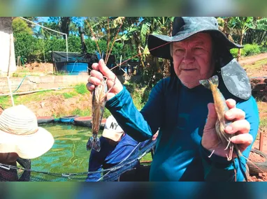 Leone diz que fórmula ajuda gado a aproveitar melhor nutrientes e pode elevar produção de leite e ganho de peso