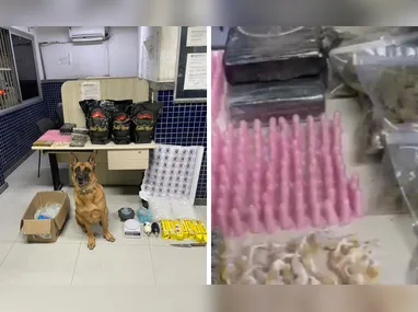 Drogas apreendidas serão encaminhadas para o Laboratório de Química Forense, da Polícia Científica (PCIES)