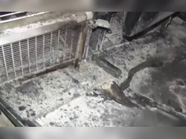 Claudemar José Fiorotte tem em casa cerca de 300 moedas de um centavo: colecionador há 17 anos