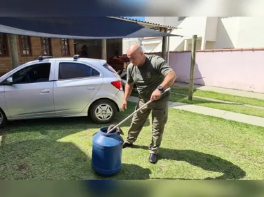 Movimentação em shopping