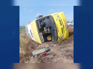 Animal ficou desorientado no caminho de volta para o mar