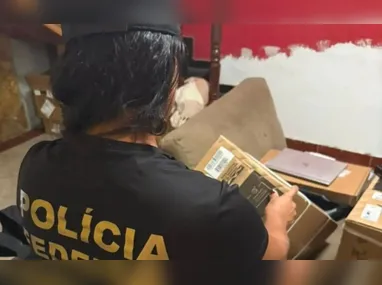 Imagem ilustrativa da imagem PF mira grupo suspeito de desviar encomendas postais