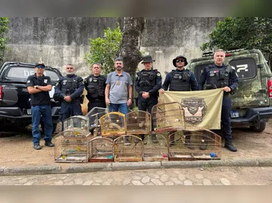 Imagem ilustrativa da imagem Pássaros silvestres são apreendidos em cativeiro ilegal em Vila Velha