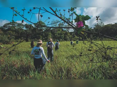 Animal foi retirado da área de circulação no km 78,5 e conduzido à vegetação sob supervisão da Ecovias Capixaba