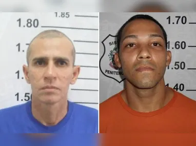 Droga foi encontrada em compartimento de refrigeração durante inspeção subaquática de embarcação com origem em Santos