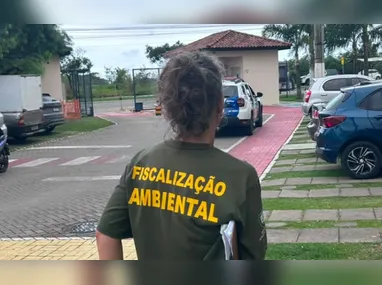 Carteiras  de motorista: é possível participar do programa CNH Social