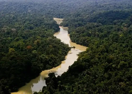 Imagem ilustrativa da imagem Amazônia e cerrado têm menor desmatamento já registrado
