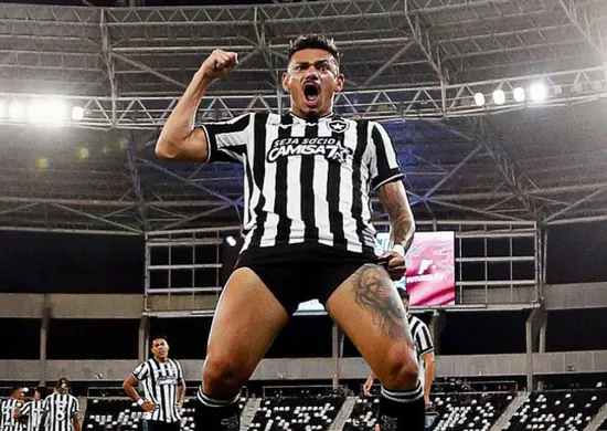 Imagem ilustrativa da imagem Botafogo bate Chapecoense na 1ª vitória de Tite