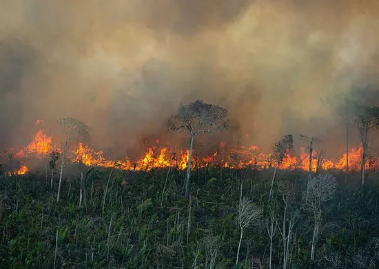 Imagem ilustrativa da imagem Ibama aplica R$ 2 milhões em multas por incêndios ilegais na Amazônia