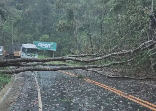 Imagem ilustrativa da imagem Temporal causa estragos no ES; chuva vai até domingo