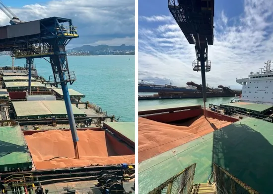 Imagem ilustrativa da imagem VLI inicia exportação de sorgo pelo ES com 160 mil toneladas para a China