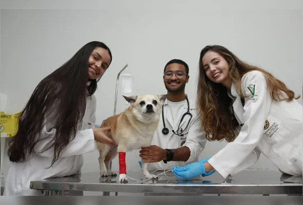 Imagem ilustrativa da imagem Temporada de vestibulares com novas opções de cursos; confira