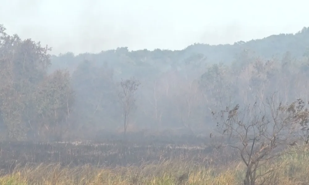 Imagens mostram destruição em área de vegetação em Guarapari causada por incêndio