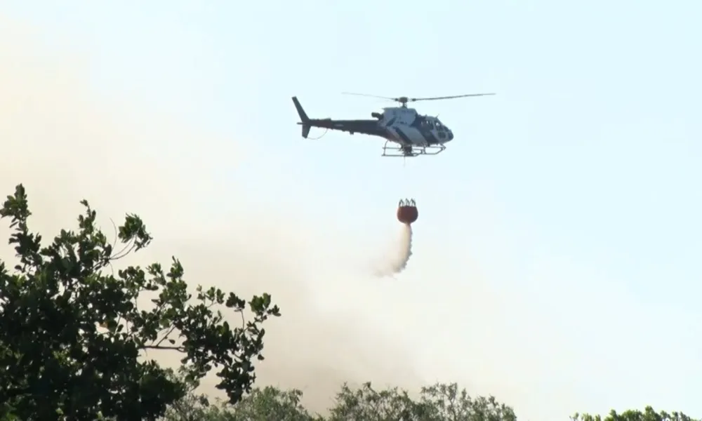 Imagens mostram destruição em área de vegetação em Guarapari causada por incêndio