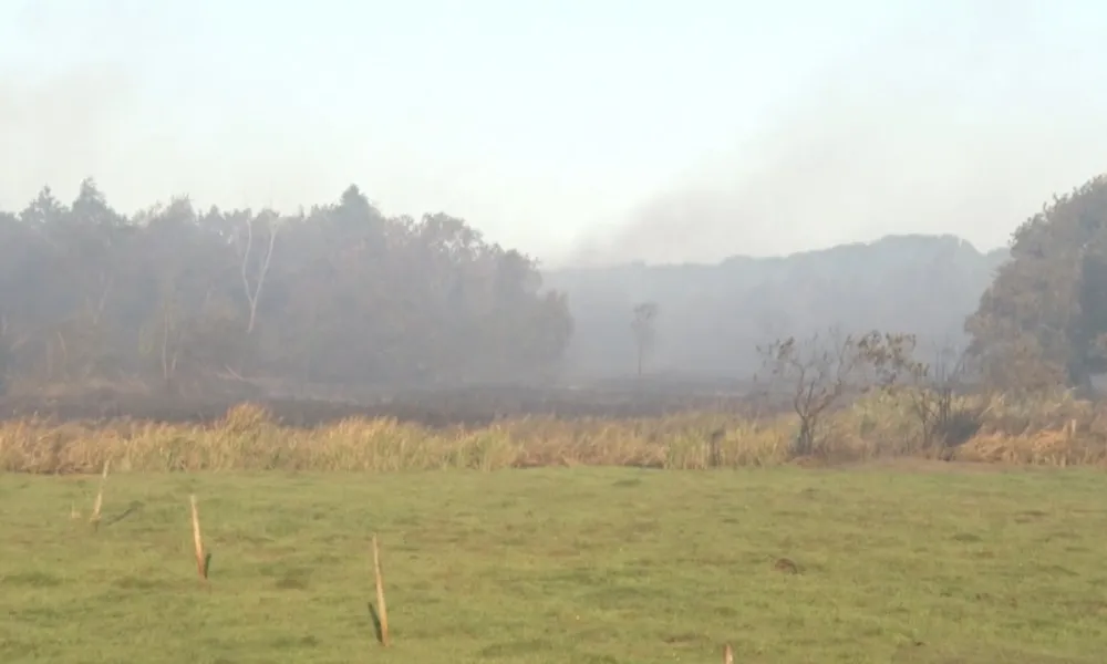 Imagens mostram destruição em área de vegetação em Guarapari causada por incêndio