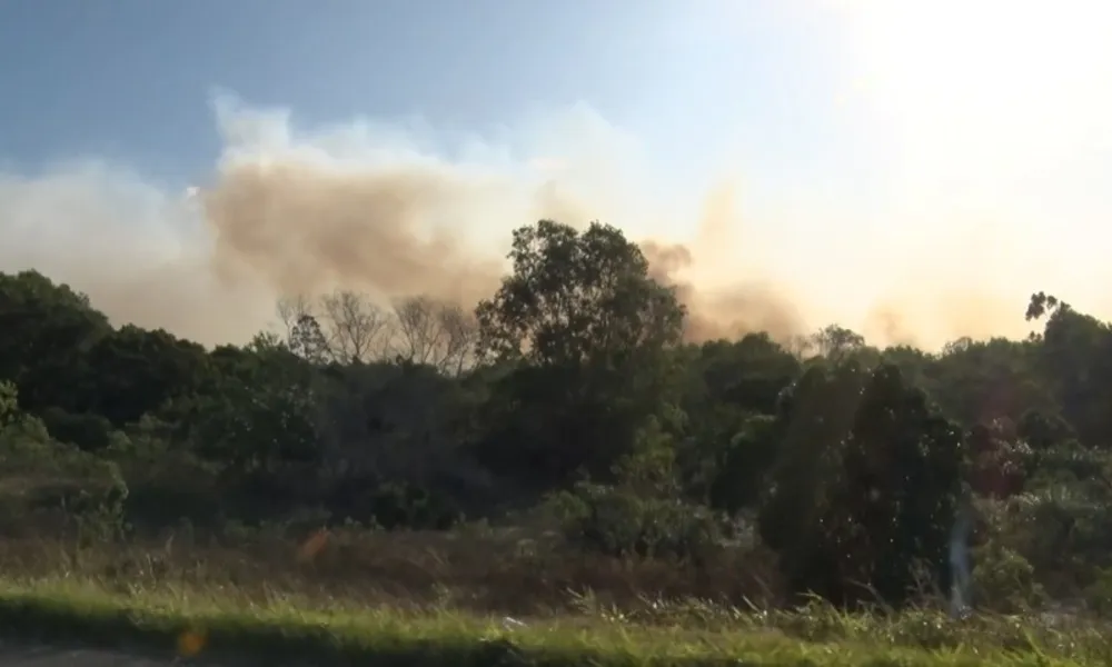 Imagens mostram destruição em área de vegetação em Guarapari causada por incêndio