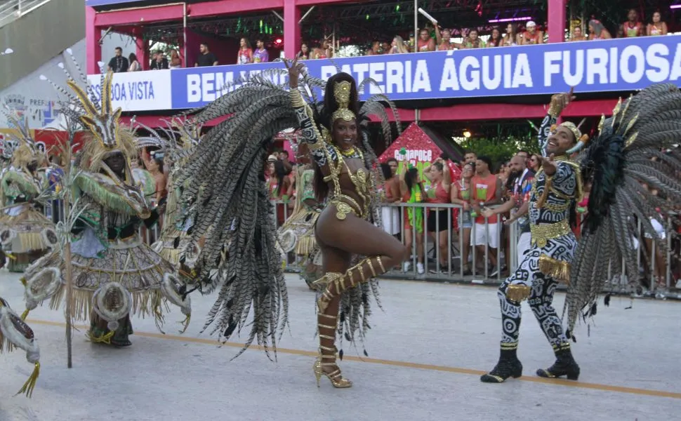 Carnaval 2025: Boa Vista é a grande campeã do grupo especial