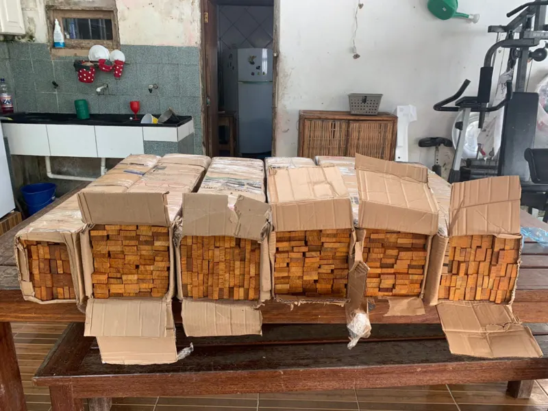 Instrumentos musicais eram feitos com madeira de Pau-Brasil extraída, diz PF