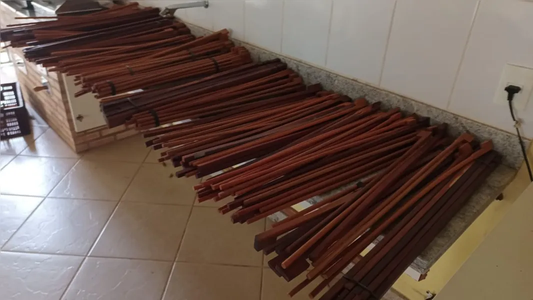 Instrumentos musicais eram feitos com madeira de Pau-Brasil extraída, diz PF