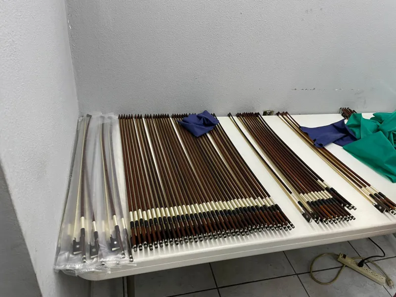 Instrumentos musicais eram feitos com madeira de Pau-Brasil extraída, diz PF