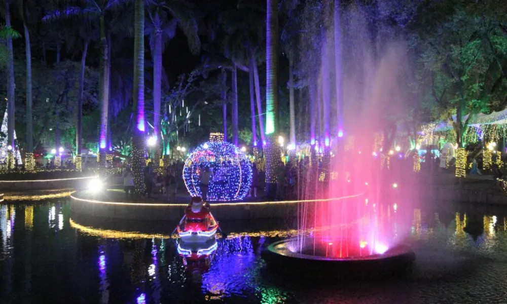 Árvore gigante, túneis e espetáculo de luzes no Parque Moscoso