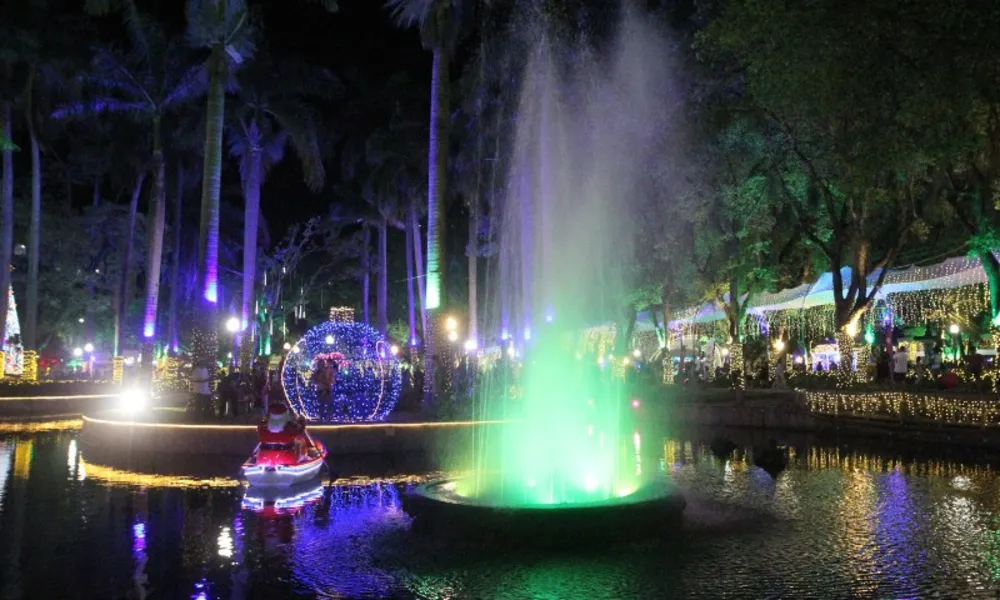 Árvore gigante, túneis e espetáculo de luzes no Parque Moscoso