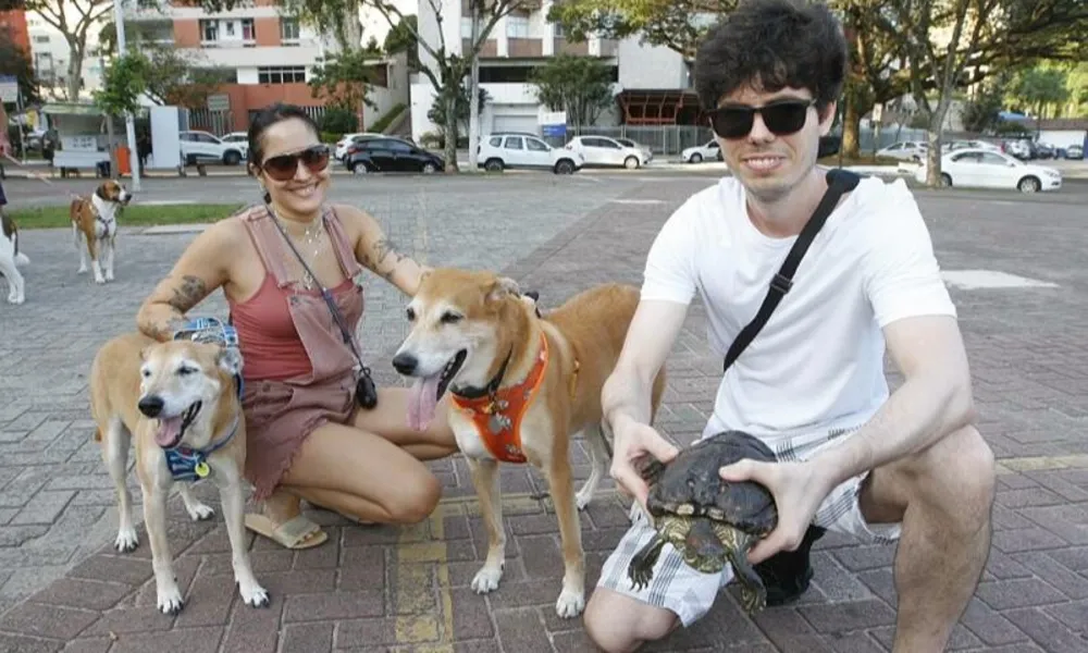 Até calopsita na bênção dos animais no dia de São Francisco de Assis