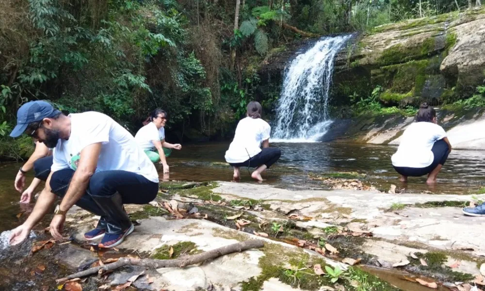 Festa com os campeões do Guardiões da Natureza!